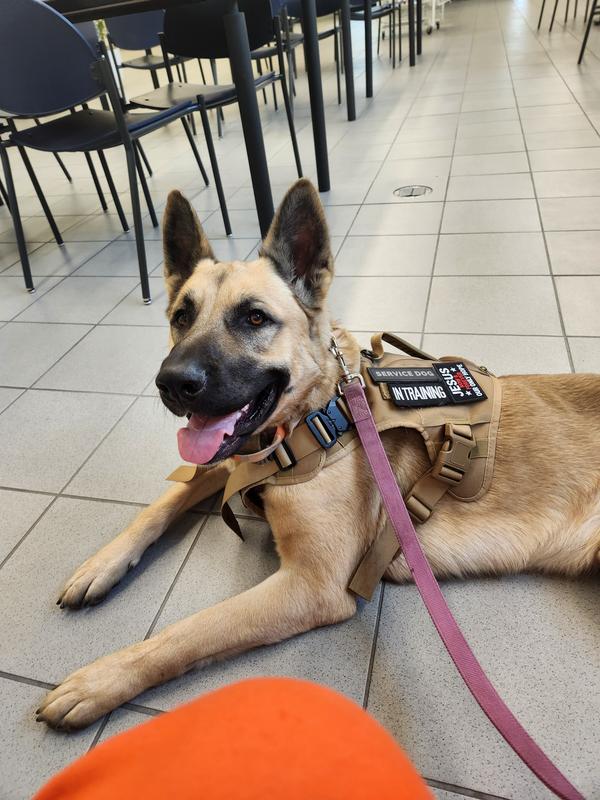 2 of my healthy babies