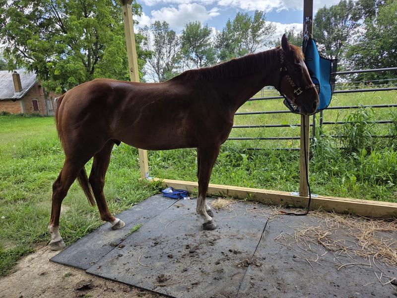 1 month difference! Before and after