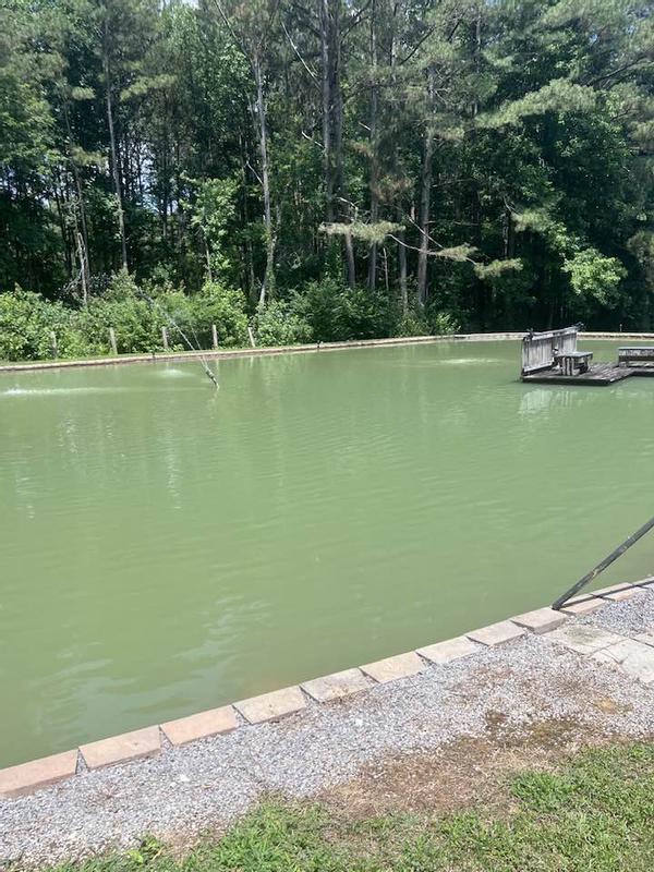 You can see the difference after 1 week