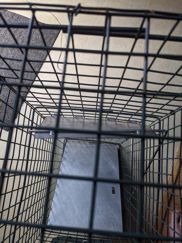 Ripped cage apart trying to escape. Bent trigger paddle