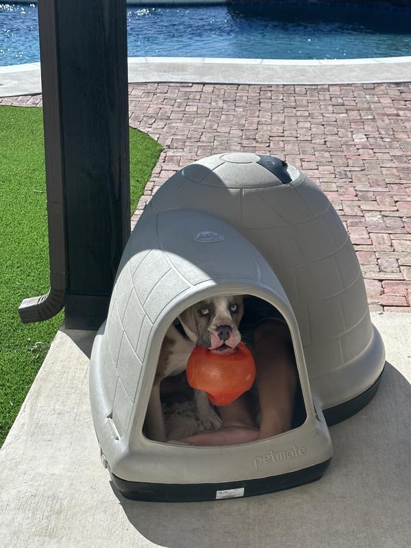 Petmate igloo store dog house large