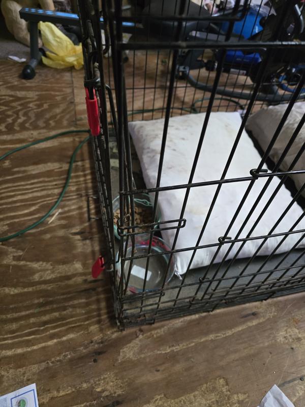 Crate she has tried to escape, but has thicker wire and better latches