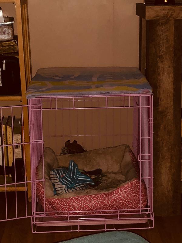 LingLing’s New Crate.