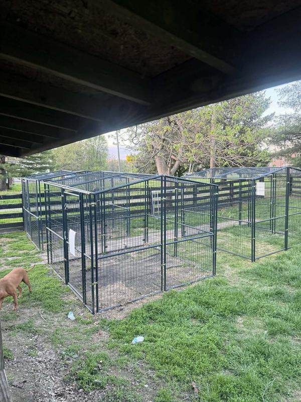 Excellent growing cages!