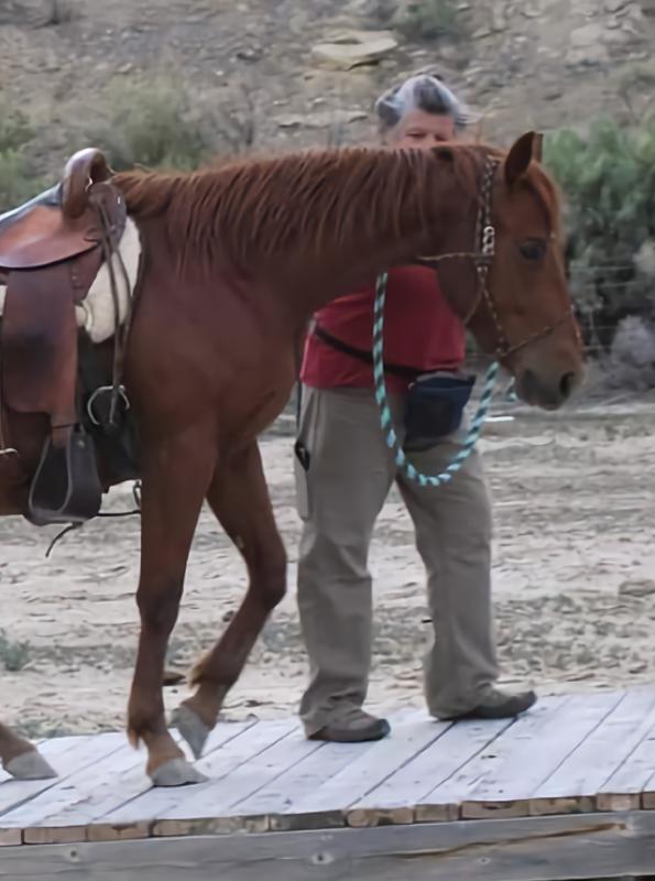 With a pocket for my phone.