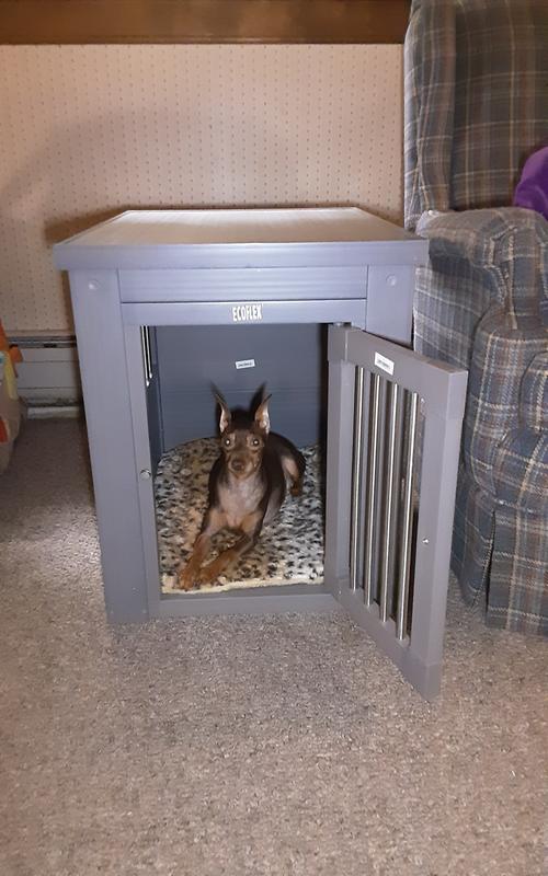 Molly Brown jumped right in and made herself at home !