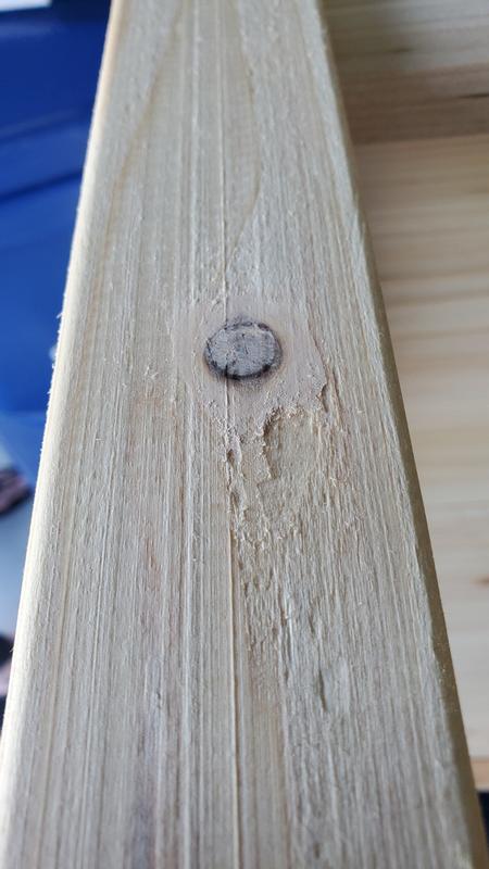 Puttied knothole
