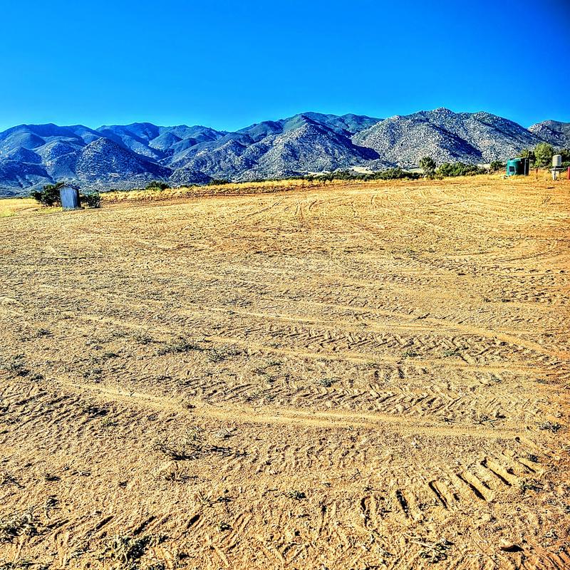 PTO Shaft with Clutch and Quick Disconnect