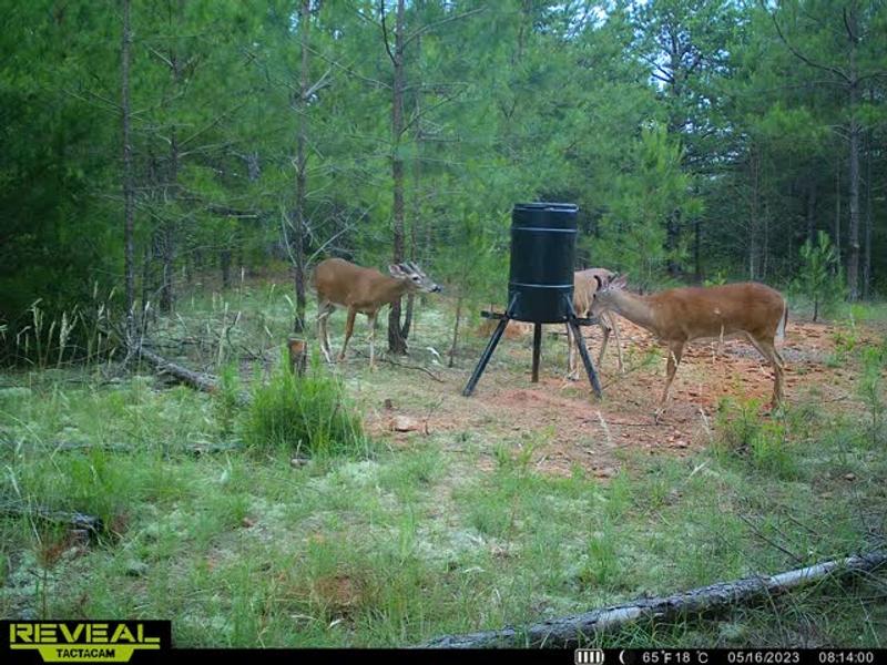 Feeder works well