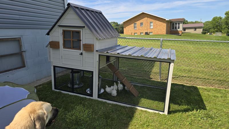Completed coop