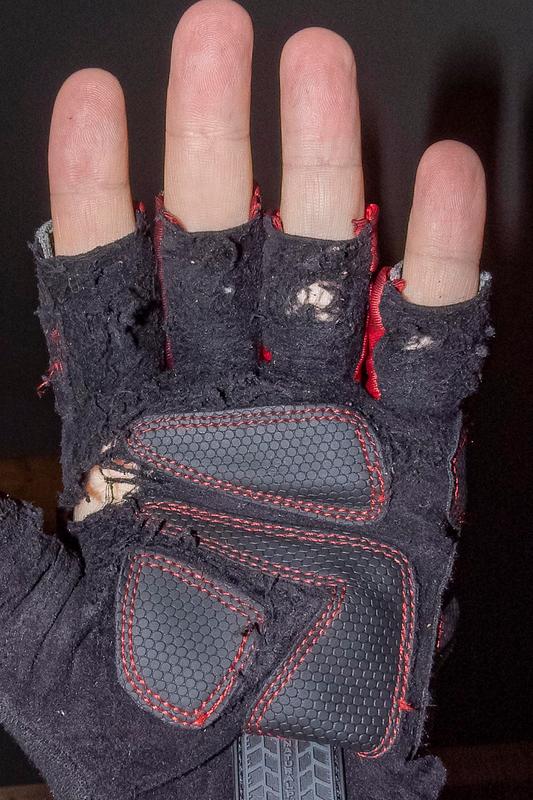 After 2 hours of cutting saplings with loppers.