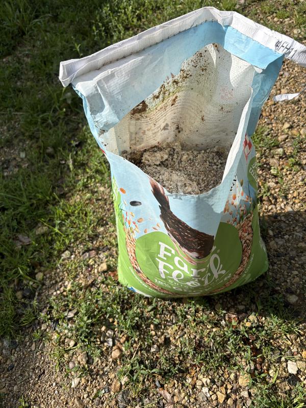 Molded chicken feed