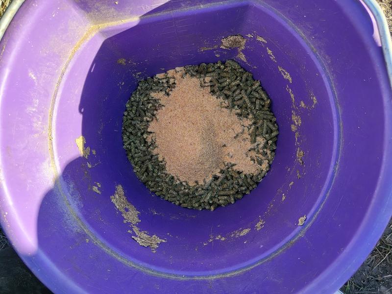 Feed time