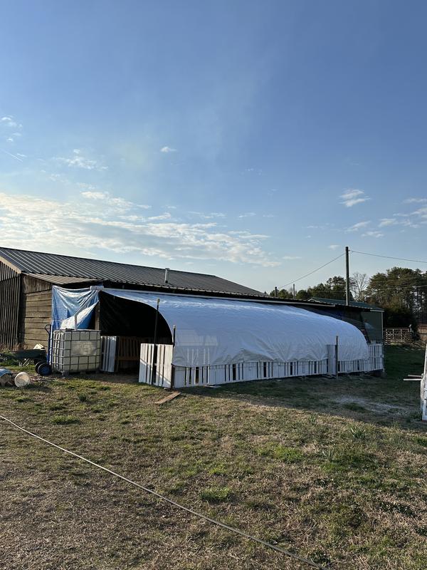 Expansion of our rabbit barn.