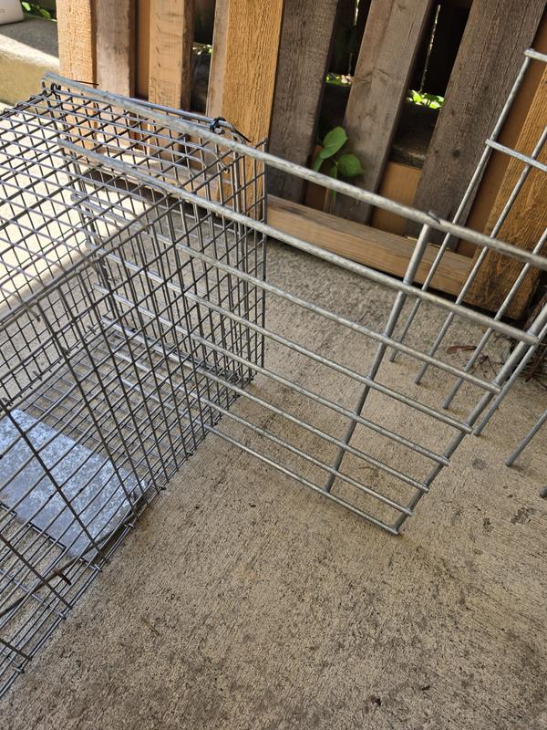 using it through the side of the Trap
Third picture is with one through the top and one through the side