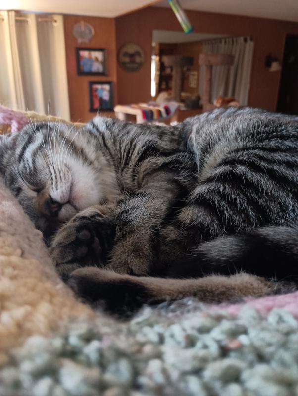 Rosie mama baby Lexi my girls