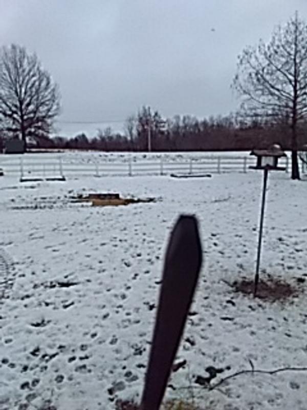 Bent, blunt tines
