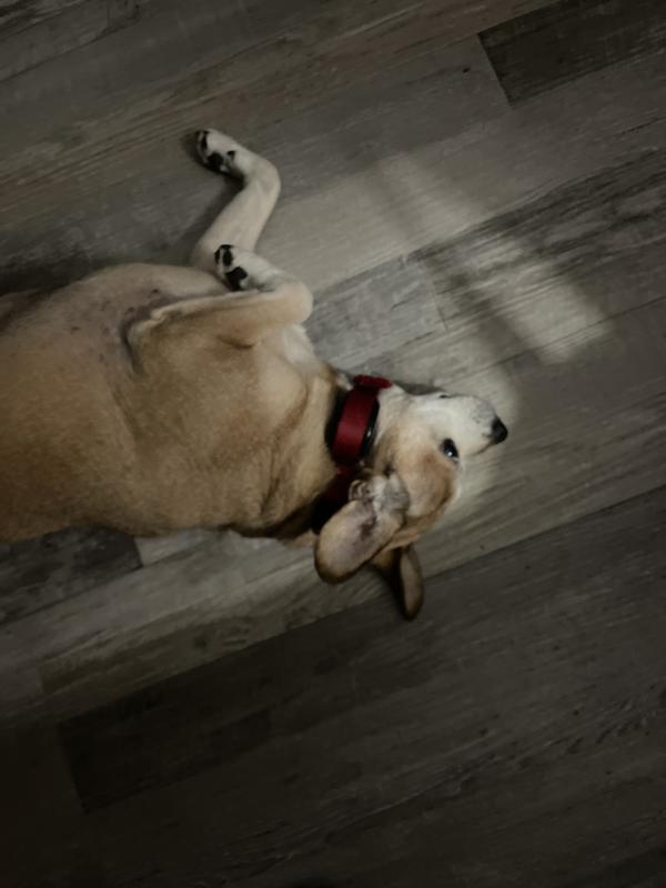 Review photo 2.