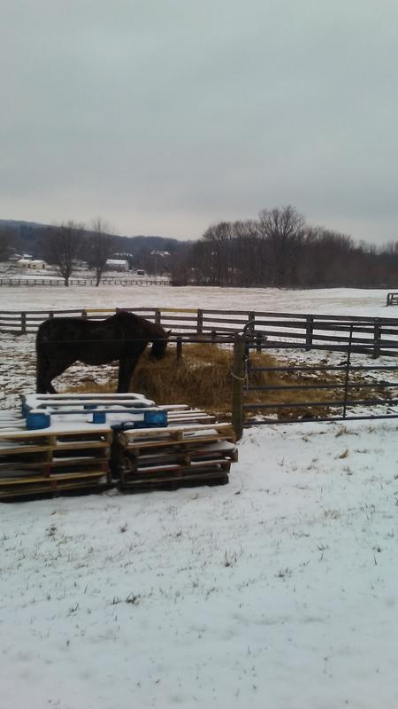 Our PVC pipe round bale holder