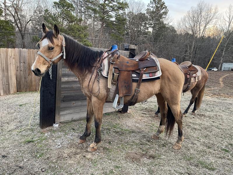 You need to buy this! The colors are gorgeous!