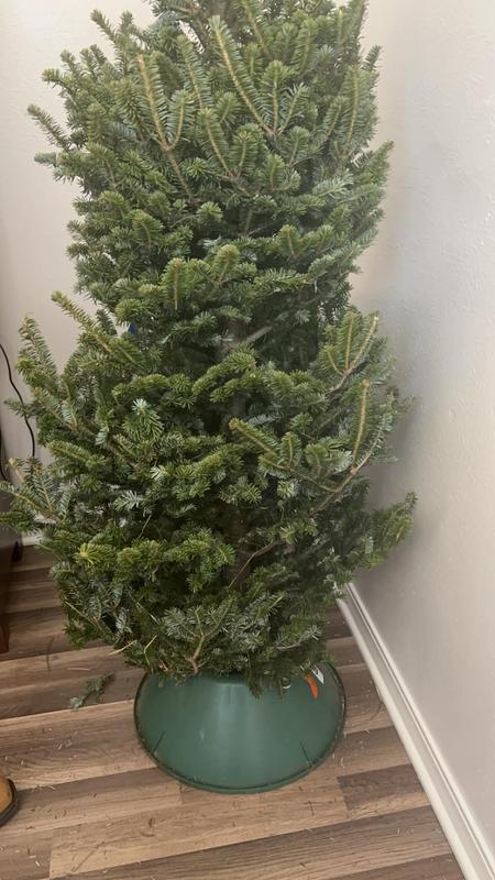 Nowhere near the size, the pitcher shows