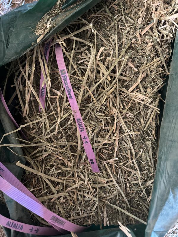 A second photo of the lesser quality: prior alfalfa bales were nice green with minimal stalks: compressed bales always dusty no matter which flavor which can be soaked