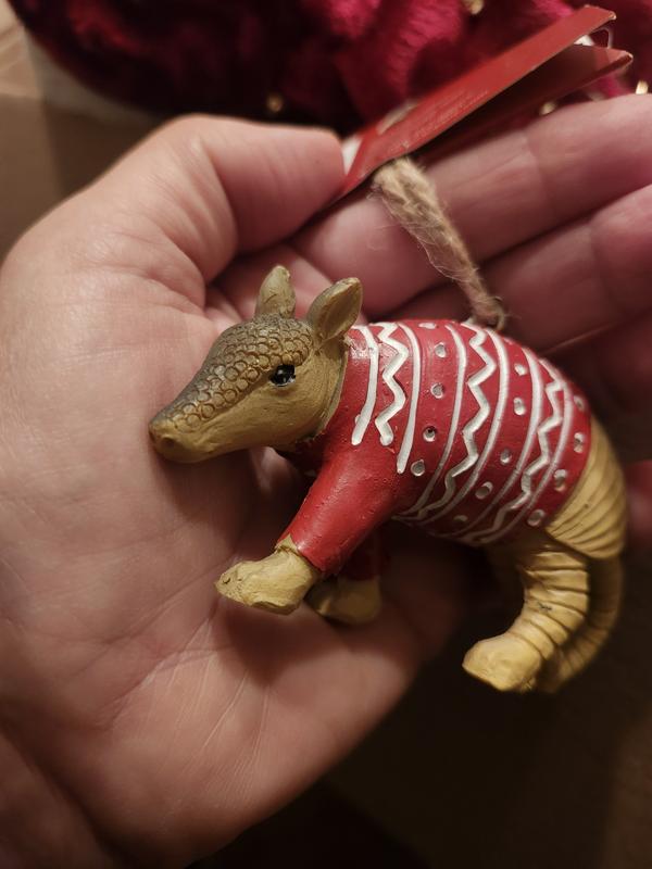 Armadillo in a sweater