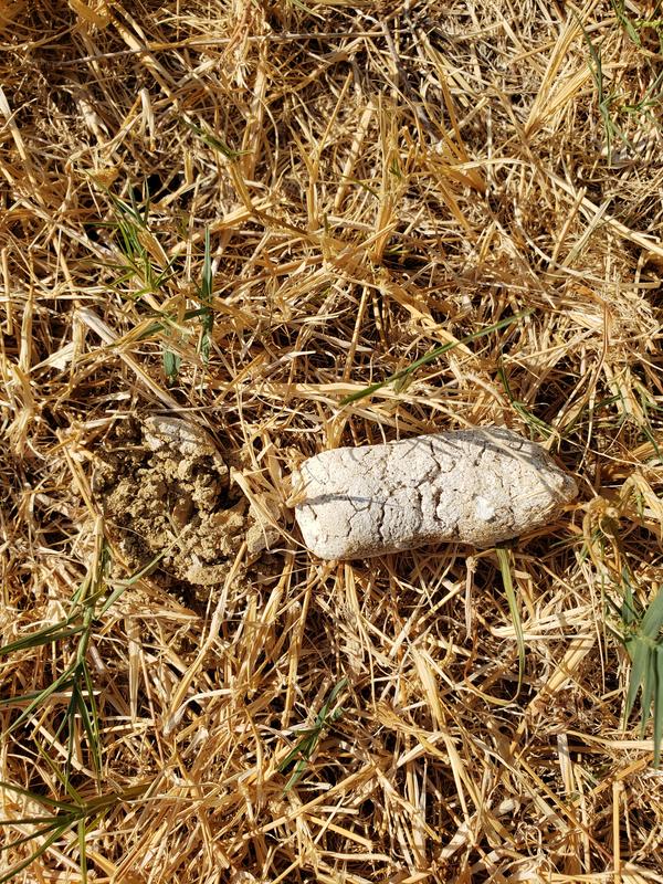 To the left is a pulverized example