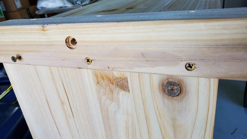 Puttied wood split, upper leg