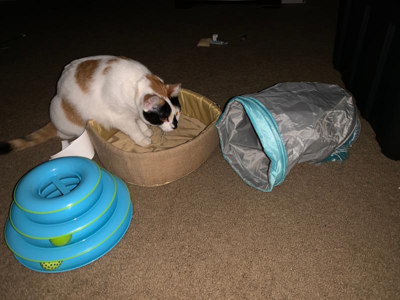 Ethel doesn’t understand how to use it.