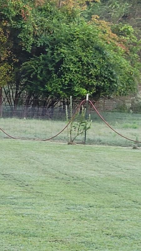 Barely visible. Dont forget wire to attach it to the other fence.