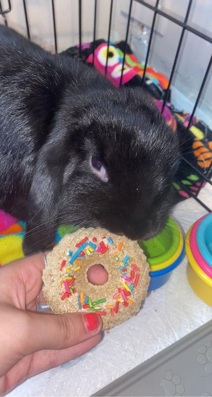 Bunny donut
