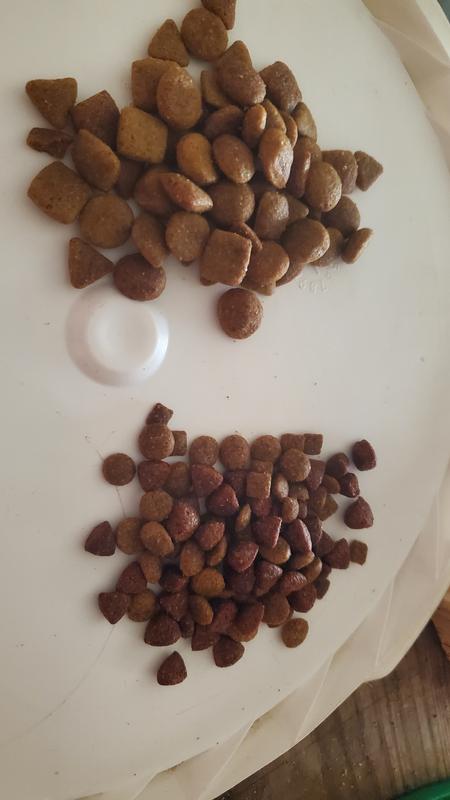 Top was shipped Bottom is correct Product