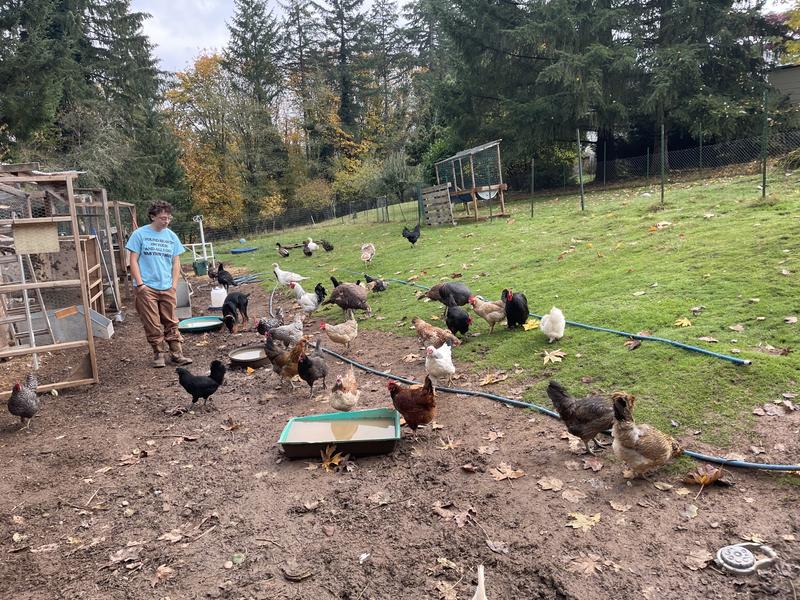 Enjoyed by our flock