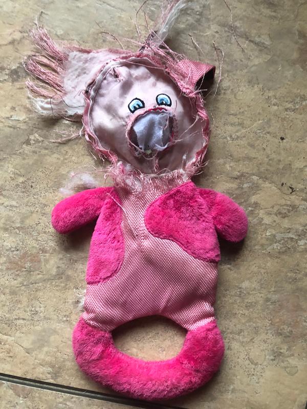 Destroyed pink toy