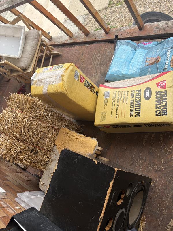 This was the only thing on the porch