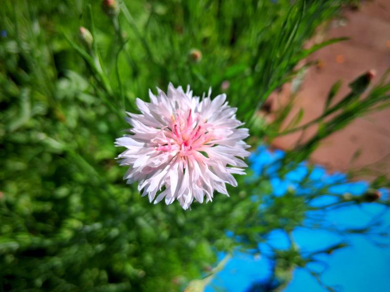Review photo 3.