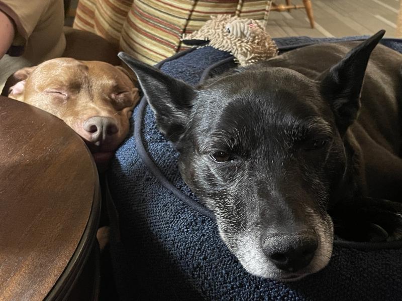 Snuggly