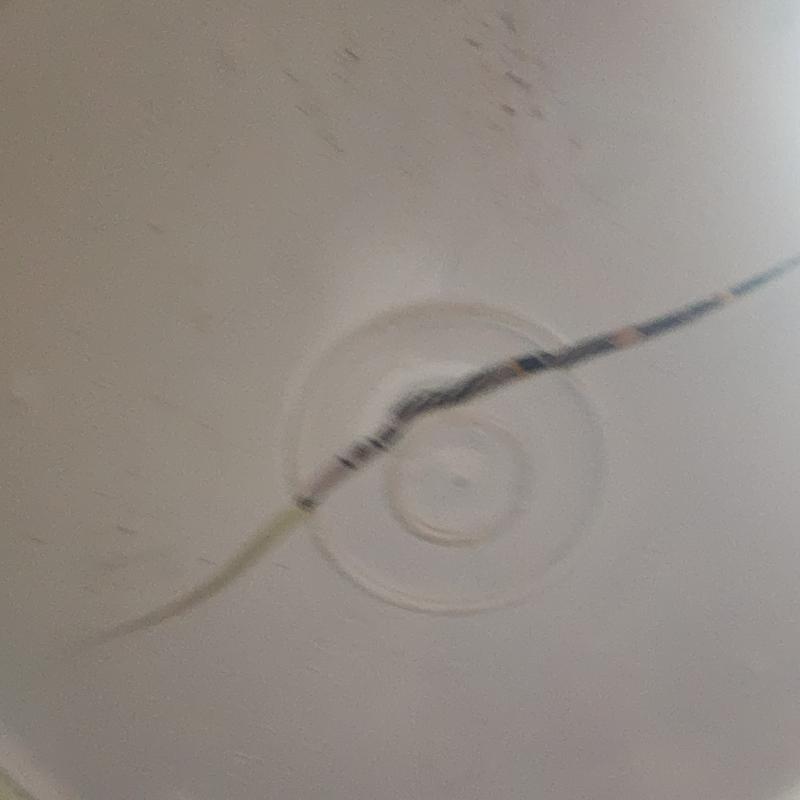 Bottom of bucket.