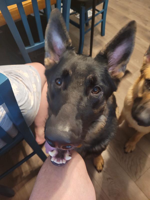 Waiting for breakfast