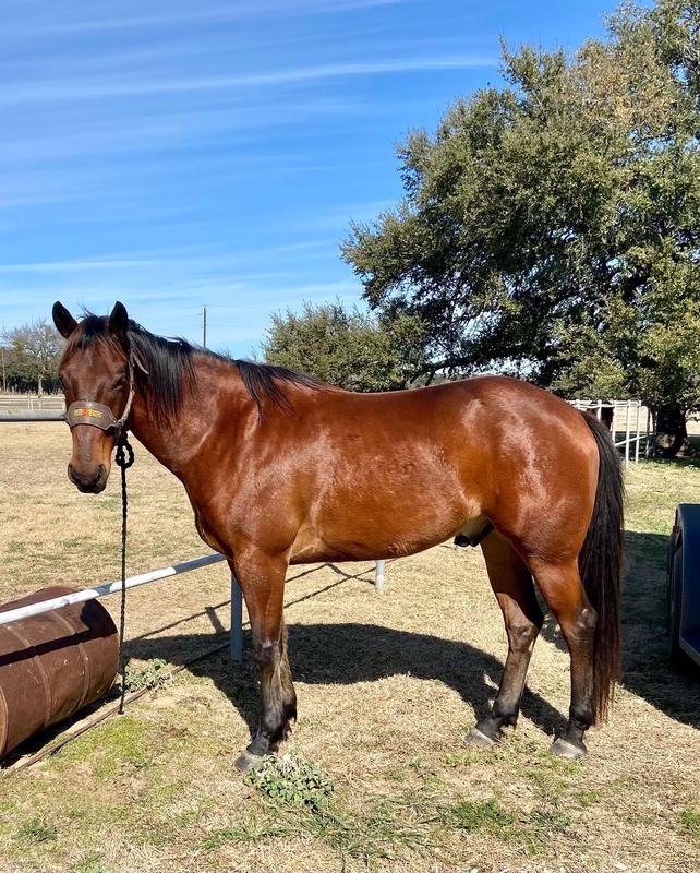 He approves of Air Power