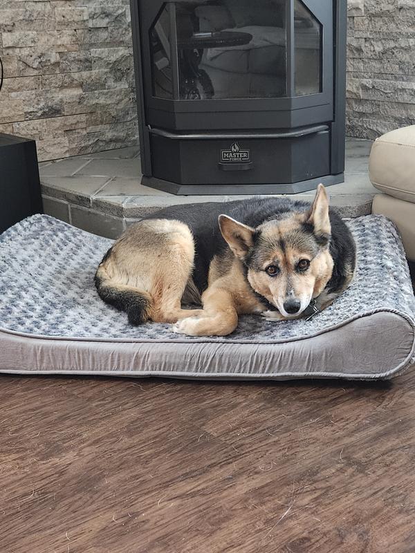 Vinyl dog outlet bed