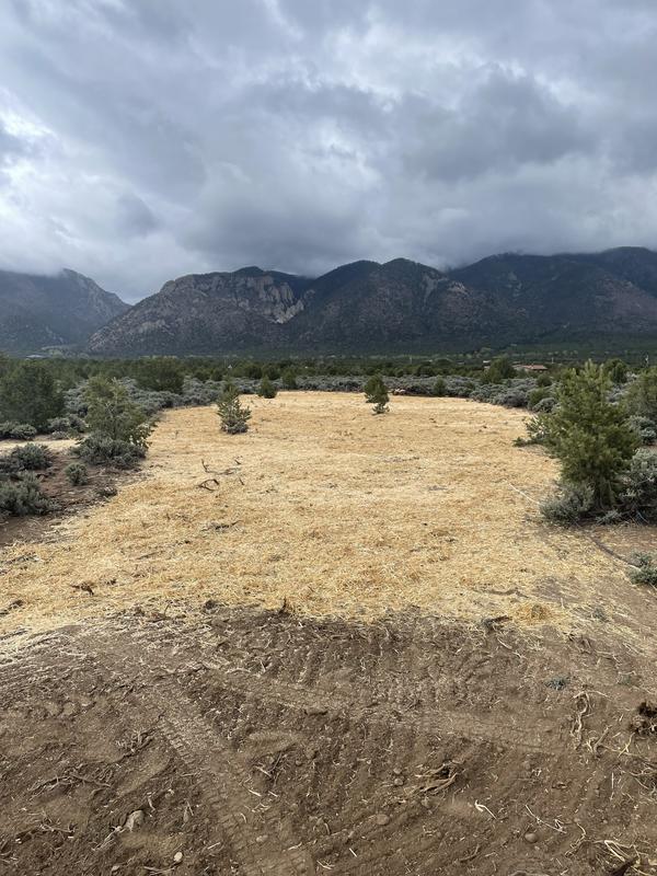 Seeded and straw covering