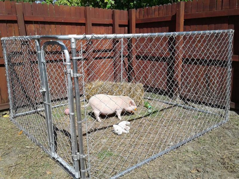 Rally in her new space