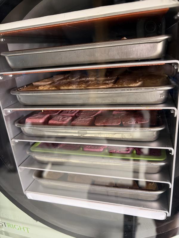 Trays loaded