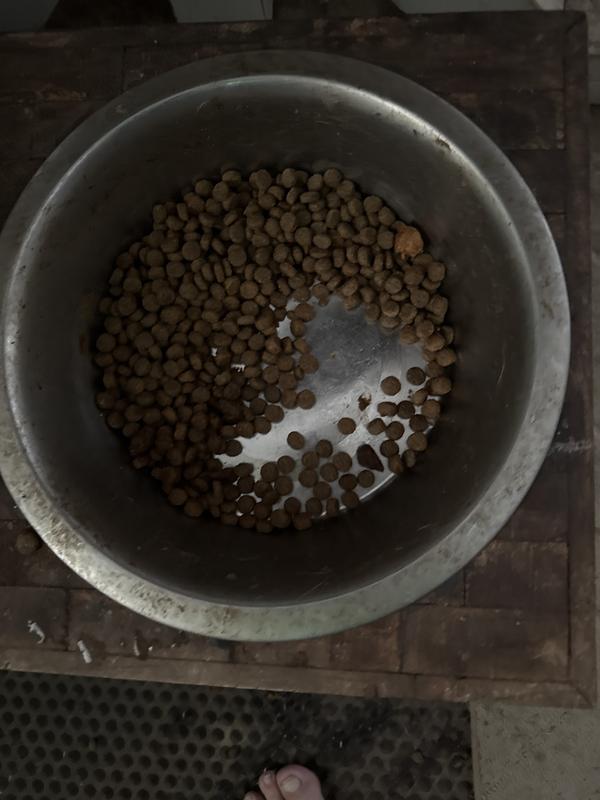 Almost Empty Bowl