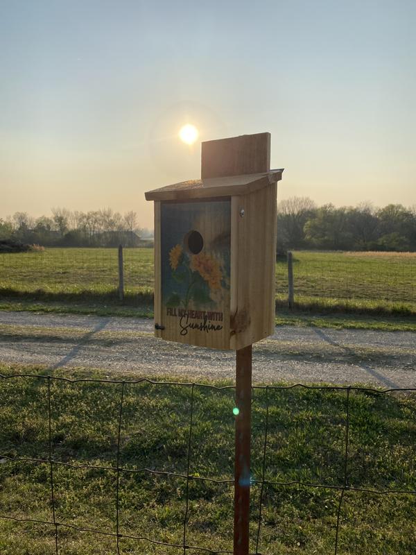Beautiful Cedar BlueBird House