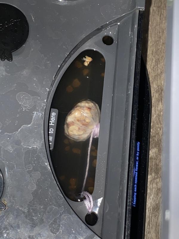 Aerogarden fill area with bits in a pouch and some loose as well.