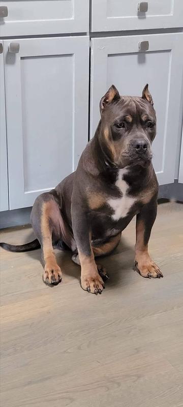 Yes I do work out I think I got my muscles from and my good looks I look a lot like my person.