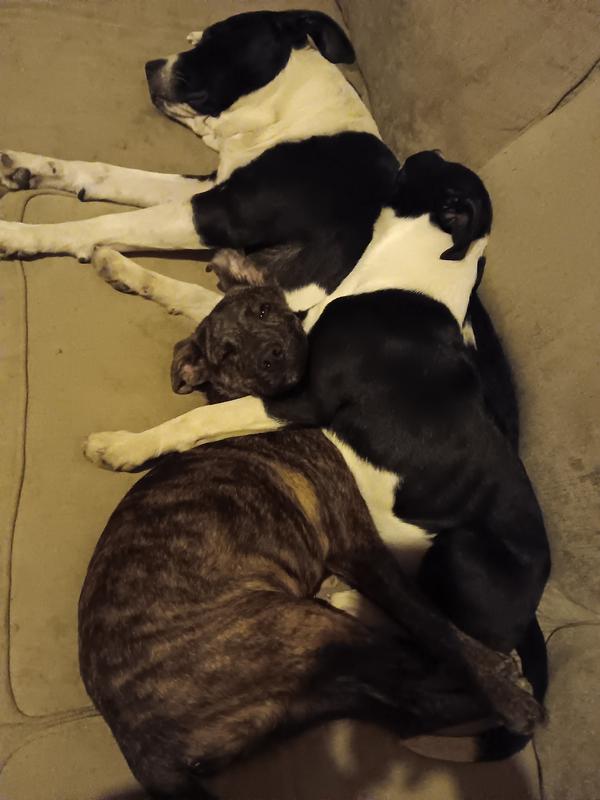 My rebel and her girls